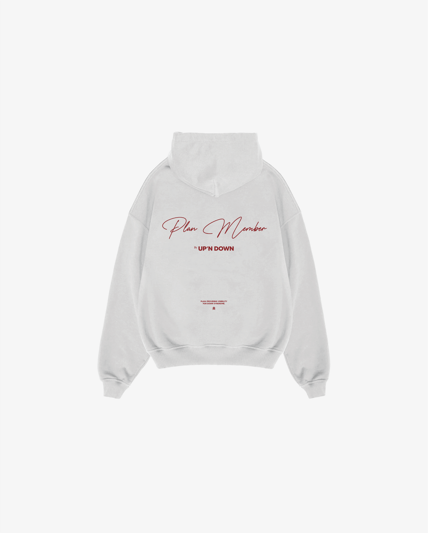 HOODIE PM — GRIS